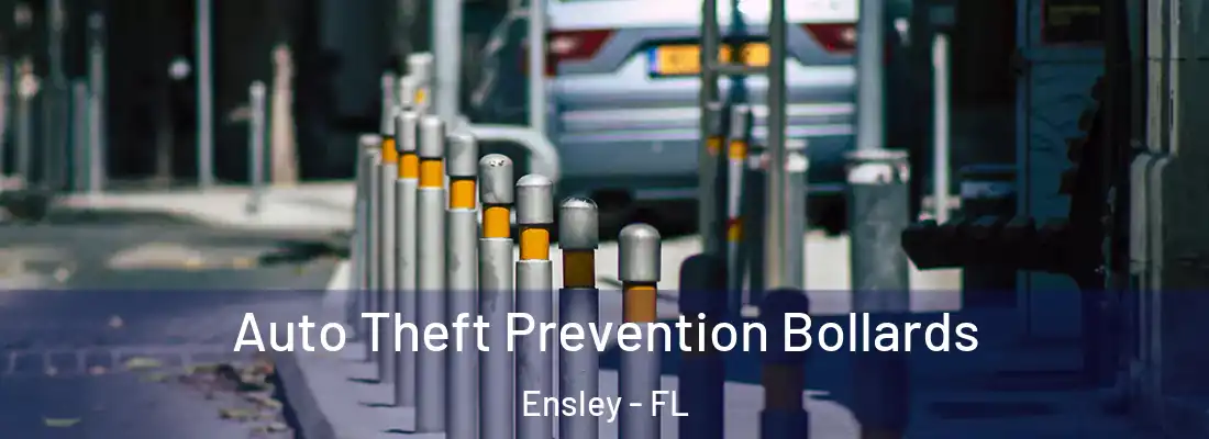  Auto Theft Prevention Bollards Ensley - FL