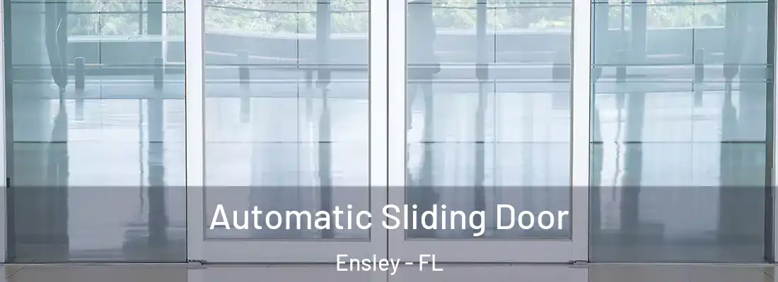  Automatic Sliding Door Ensley - FL