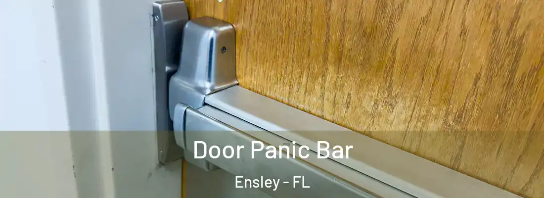  Door Panic Bar Ensley - FL