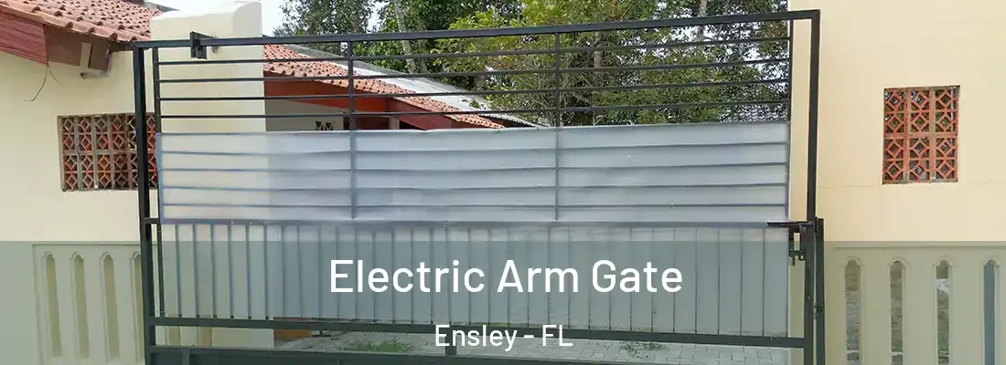  Electric Arm Gate Ensley - FL