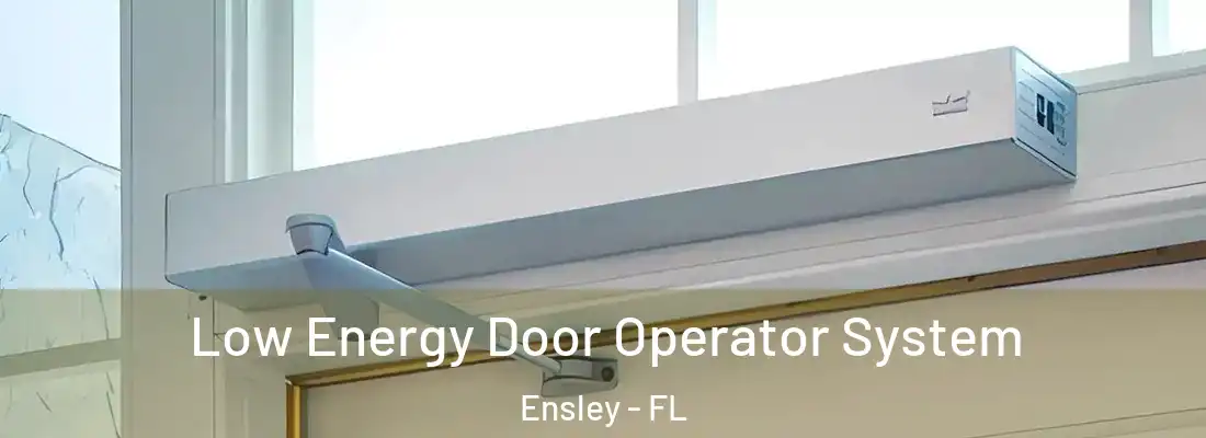  Low Energy Door Operator System Ensley - FL