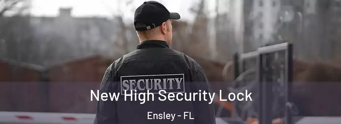  New High Security Lock Ensley - FL