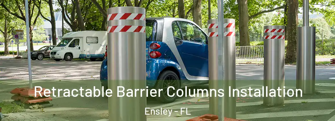  Retractable Barrier Columns Installation Ensley - FL