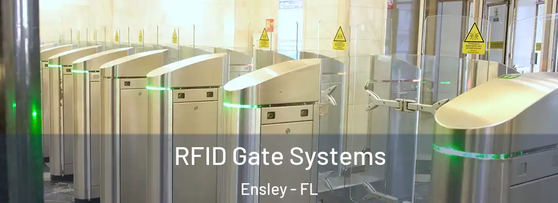  RFID Gate Systems Ensley - FL